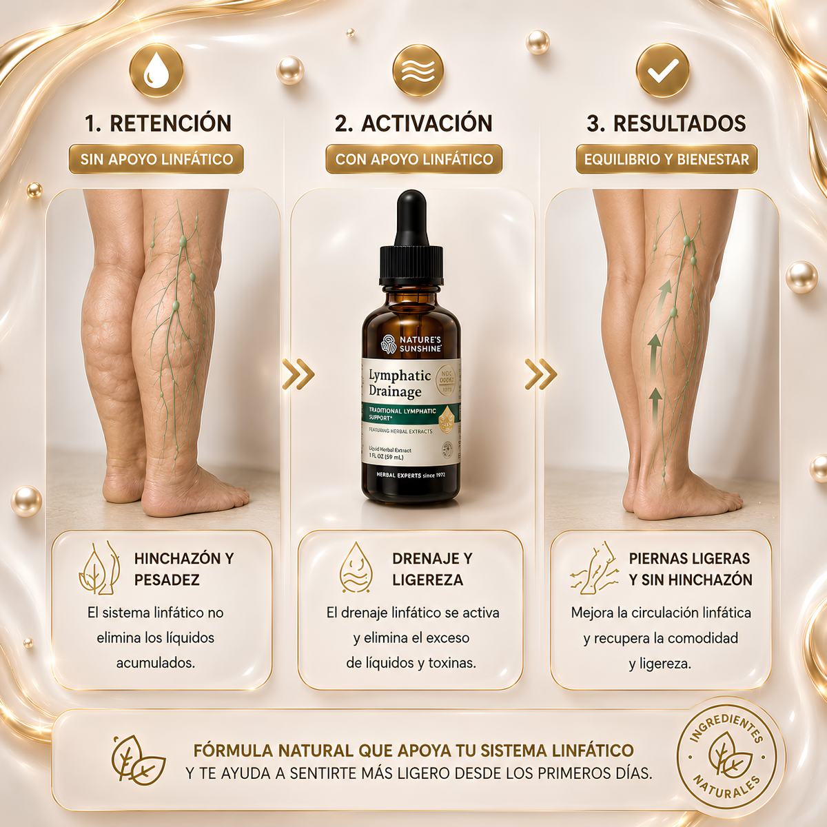 Lymphatic Drainage: Elimina Lo Que Tu Cuerpo Ya No Necesita 🧍‍♀️